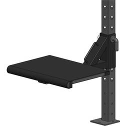 Master Fitness Step Up Platform, Crossfit rig