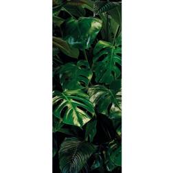 Komar Tropical Wall Fototapet,Non-Woven