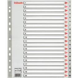 Esselte Register PP A4 Maxi