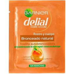 Garnier Self-bronzing towelettes Delial (1 ud)