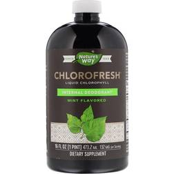 Nature's Way Nature's Way Chlorofresh Liquid Chlorophyll Mint 16 fl oz