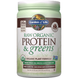 Garden of Life Raw Organic Protein & Greens Chocolate