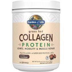 Garden of Life Collagen Protein Chocolate 588g