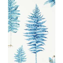 Sanderson Fernery China Blue 216635