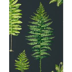 Sanderson Fernery Botanical Green/Charcoal 216634