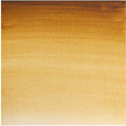 Winsor & Newton and Half Pan Artist Watercolour Paint Raw Umber