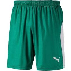 Puma Liga Shorts Men - Pepper Green/White