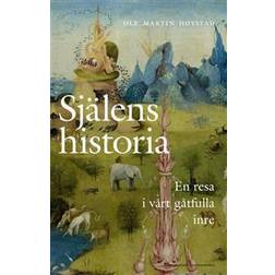 Själens historia. En resa i vårt gåtfulla inre (Inbunden)