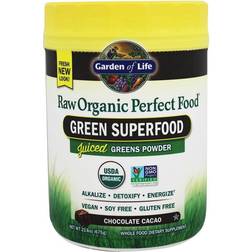 Garden of Life Raw Organic Perfect Food Green SuperFood Chocolate 20.1 oz