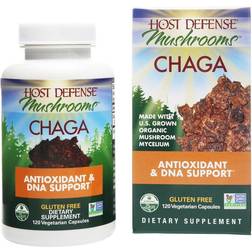 Host Defense Chaga