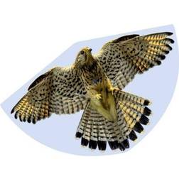 Günther Flugspiele Guenther Flugspiele Single line Kite FALCON Wingspan 920 mm Wind speed range 3 6 bft