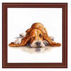 LUCAS Broderikit Billede Basset