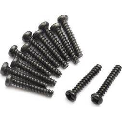 Wittmax Blackzon Pan head Self Tapping Screws PBHO2*12mm