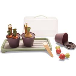 Dantoy Bioplastic Greenhouse Kit