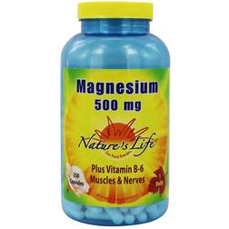 Nature's Life Magnesium 500 mg. 250 Capsules 250 Stk.