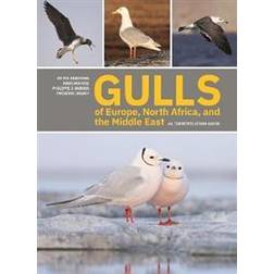 Gulls of Europe, North Africa, and the Middle East (Häftad)