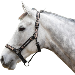 Weatherbeeta Leopard Headcollar