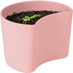 Stelton Your Tree Planting Pot with Seeds Krukke