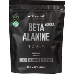 WellAware Beta-Alanine 300 g