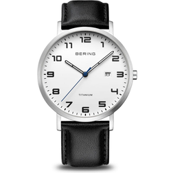 Bering (18640404)