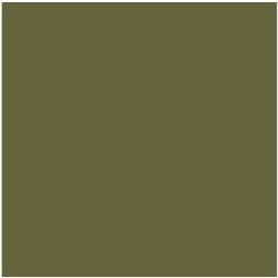Wittmax Vallejo VAL71411 Model Air 17ml-A-19F Grass Green