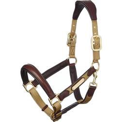 LeMieux Capella Headcollar