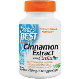 Doctor's Best Cinnamon Extract with CinSulin 250mg 120 vcaps