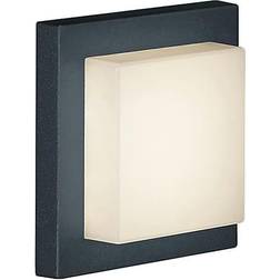 Trio Lighting Hondo Wall light