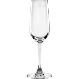 Olympia Mendoza Champagneglas 18.5cl 6st