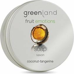 Greenland Fruit Emotions Soap Cake Coconut Tangerine 100ml