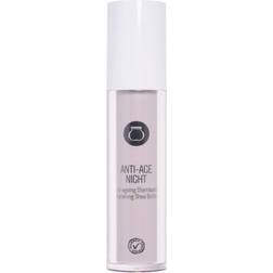 Nilens Jord Anti Age Night Airless 50ml