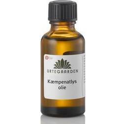 Urtegaarden Økologisk Kæmpenatlysolie (GLA) 100ml