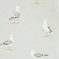 Sanderson Shore Birds Gull DCOA216565