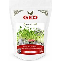 Geo Broccoli (Raab) Seeds Frø