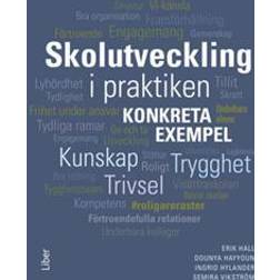 Skolutveckling i praktiken - Konkreta exempel (Häftad)