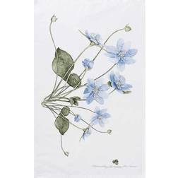 Koustrup & Co. Anemone Kökshandduk Blå (70x48cm)