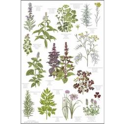 Koustrup & Co. Herbs Viskestykke Multifarve (70x48cm)