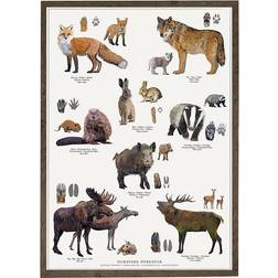 Koustrup & Co. Nordic Animal Tracks Plakat 42x59.4cm