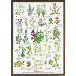 Koustrup & Co. Spiced Herbs Plakat 42x59.4cm