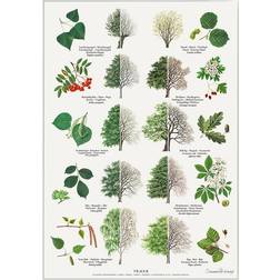 Koustrup & Co. Trees Plakat 42x59.4cm