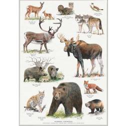 Koustrup & Co. Nordic Animals Plakat 42x60cm