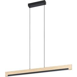 Eglo Camacho Pendellampa 110cm