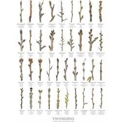 Koustrup & Co. Winter Branches Plakat 21x29.7cm