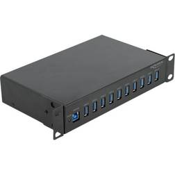 DeLock 10-Port USB 3.2 Gen 1 External Hub (64112)