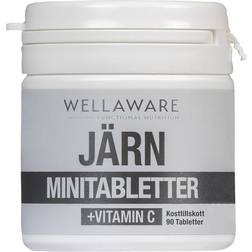 WellAware Järn Vitamin C 90 minitabletter