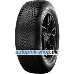 Vredestein Quatrac (205/65 R15 99H)