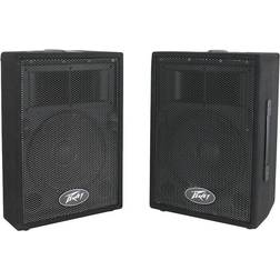 Peavey Pvi 10