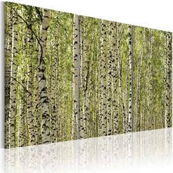 Arkiio A Forest Of Birch Trees Tavla 120x80cm