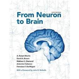 From Neuron to Brain (Inbunden)