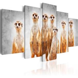 Arkiio Meerkats Billede 100x50cm